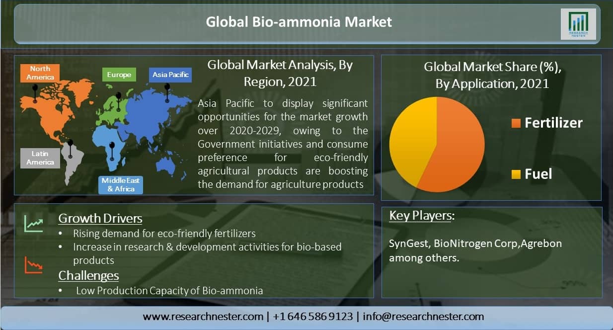 Bio-Ammonia Market Overview